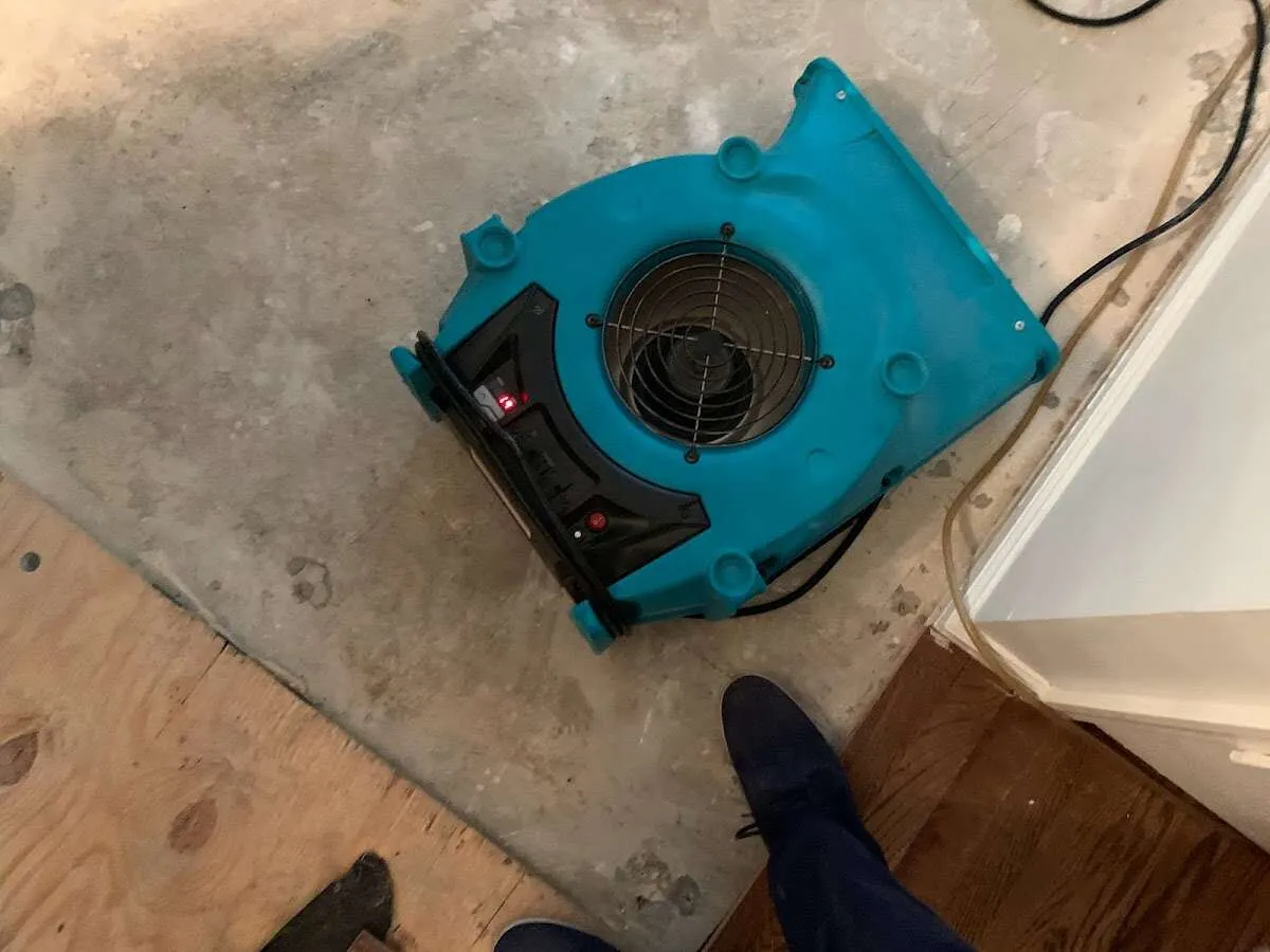 Air mover drying subfloor during Leak Detection & Repair in Jamesburg
